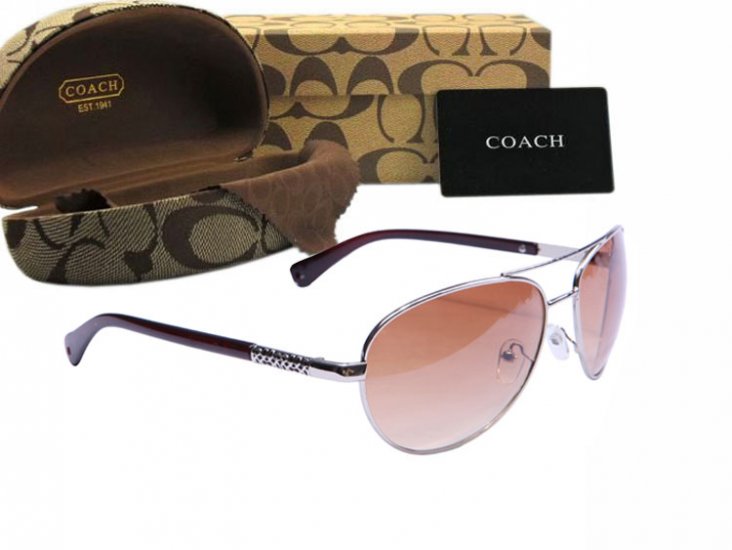 Coach Sunglasses 8016 | Women